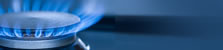 Business Gas News